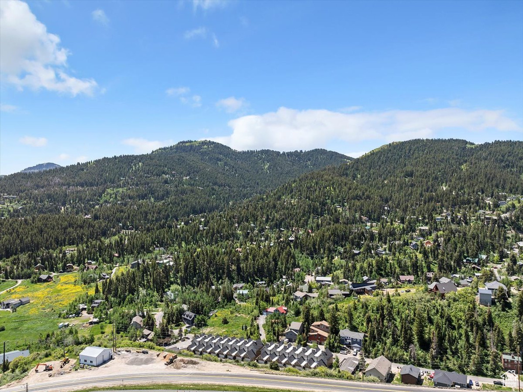 Mountain view featuring a forest