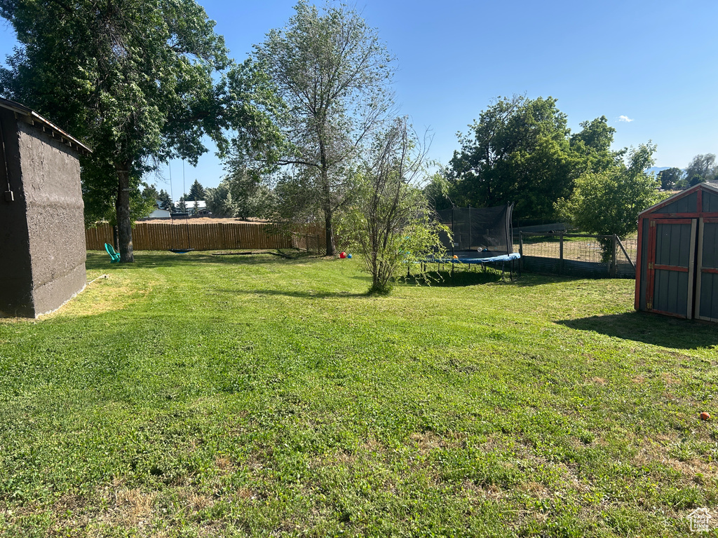 Fenced backyard with a storage unit and a trampoline