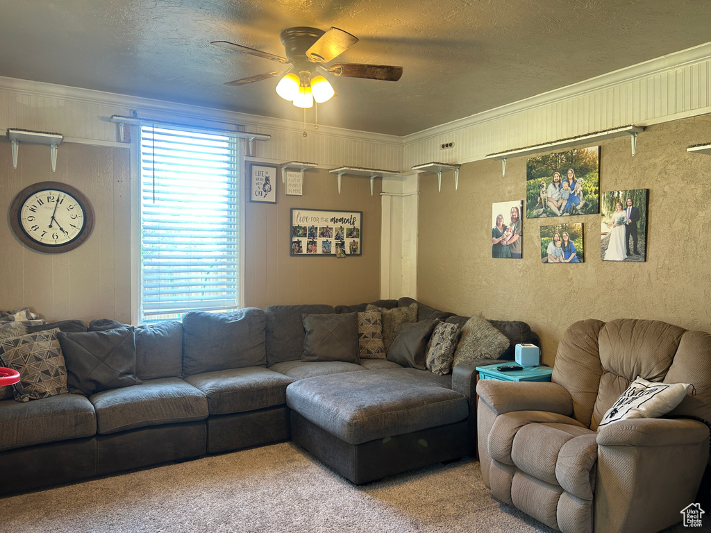 Living room featuring a ceiling fan, a textured ceiling, and carpet floors