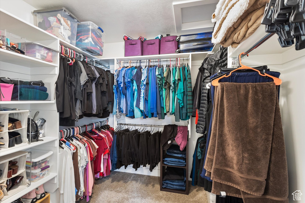 Walk in closet featuring carpet floors
