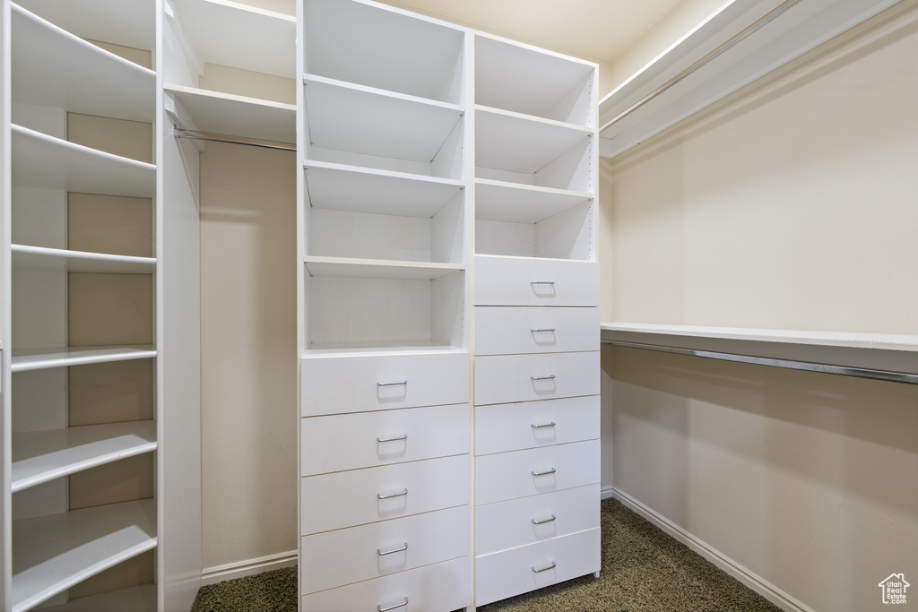 Walk in closet featuring dark carpet
