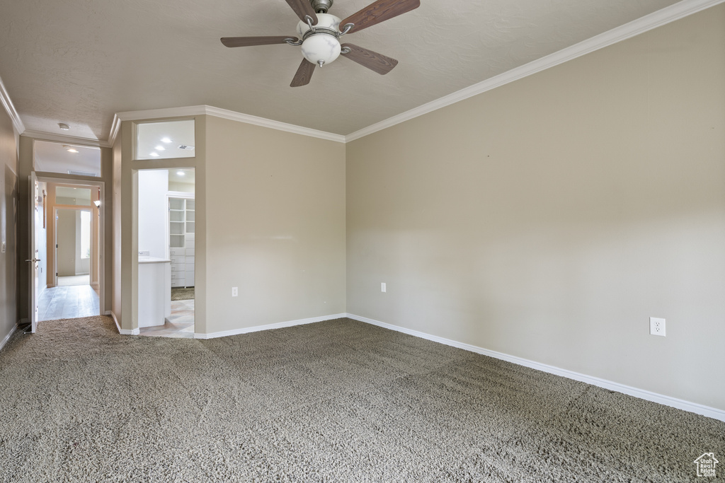 Carpeted empty room featuring ornamental molding and a ceiling fan