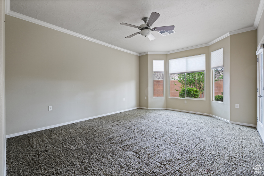 Spare room with ornamental molding, a ceiling fan, and carpet floors