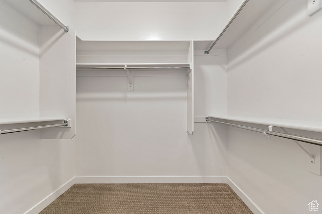 Spacious closet with carpet floors