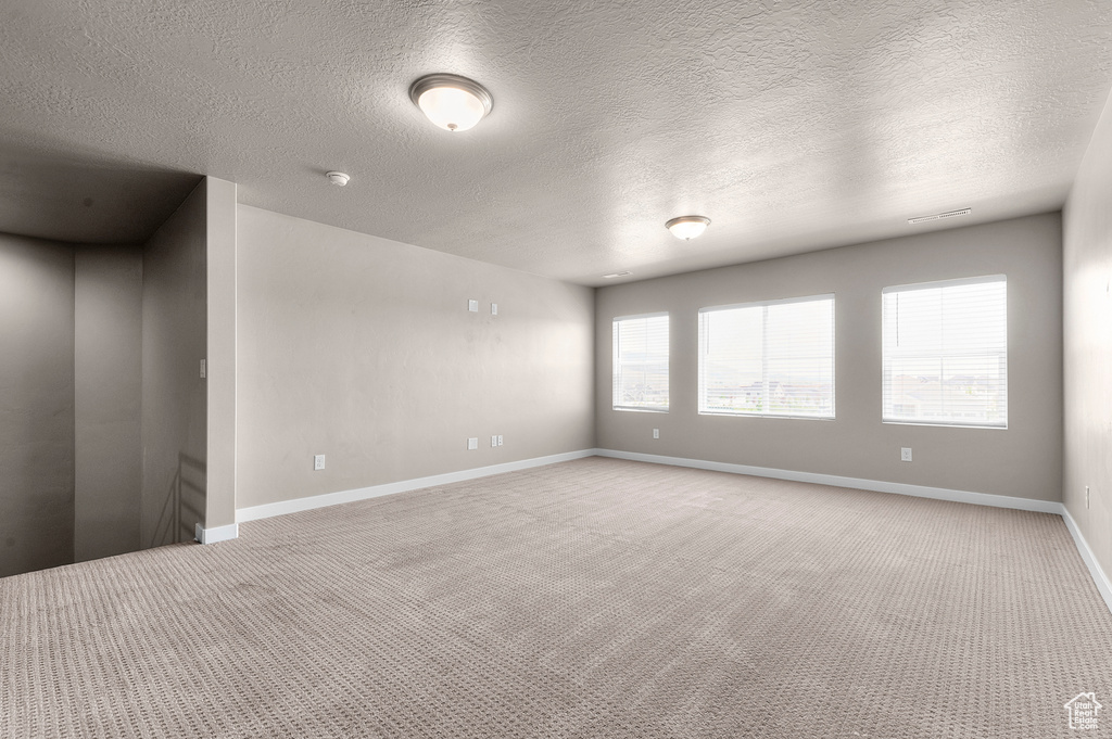 Empty room featuring light colored carpet, a textured ceiling, and a smoke detector