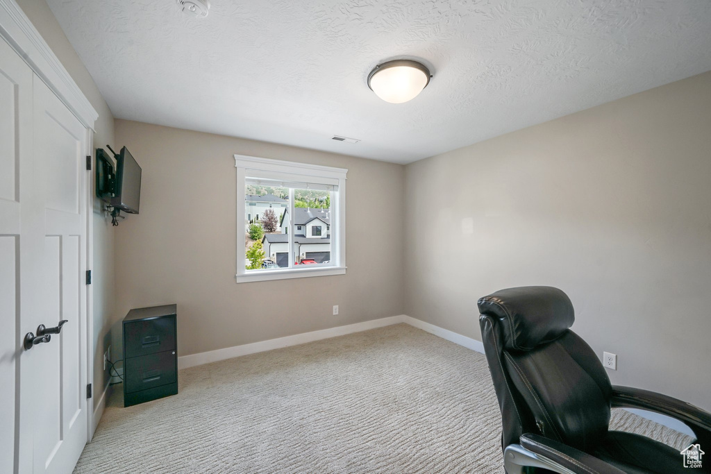 Office space with light colored carpet and a textured ceiling
