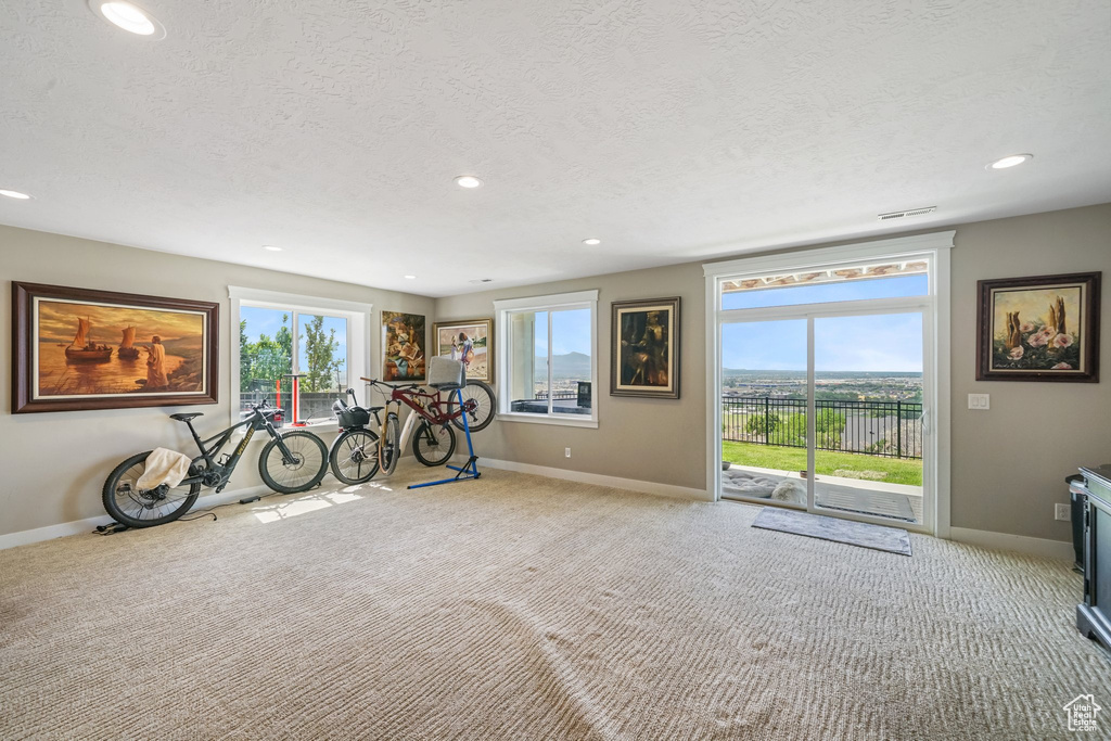 Workout room featuring carpet floors, a textured ceiling, recessed lighting, and plenty of natural light