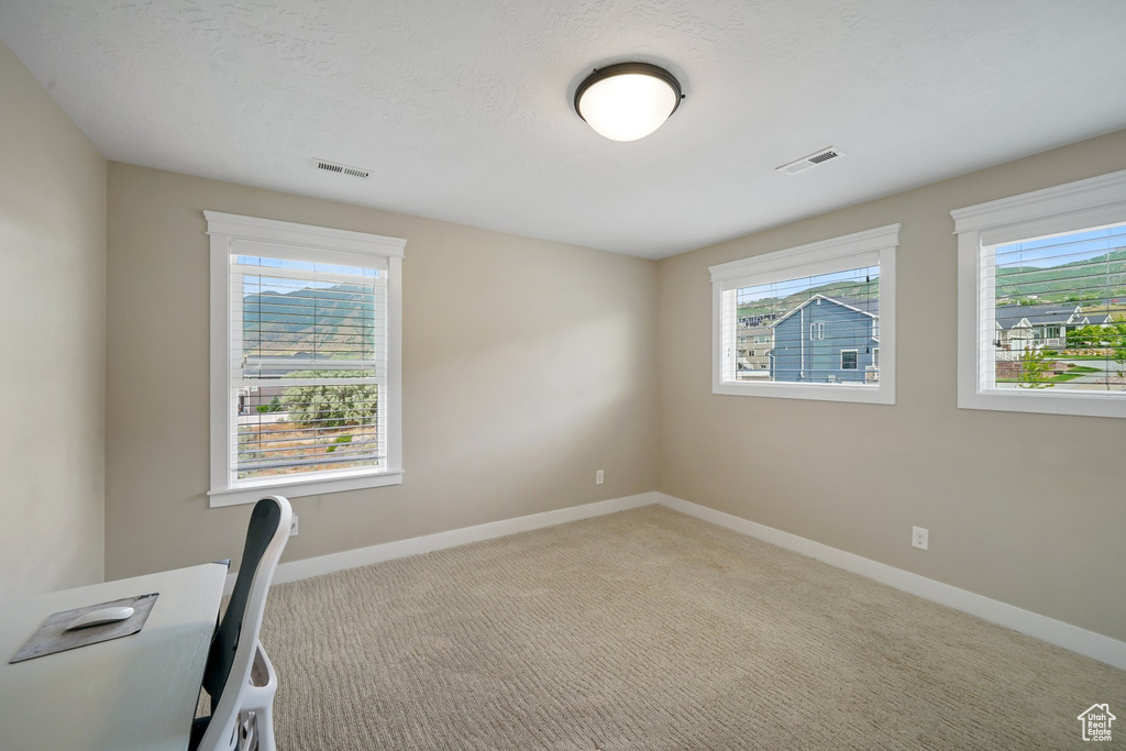 Unfurnished office featuring plenty of natural light and carpet flooring