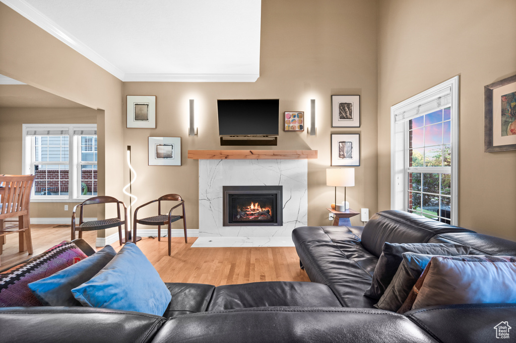 Living room featuring wood finished floors, crown molding, and a high end fireplace