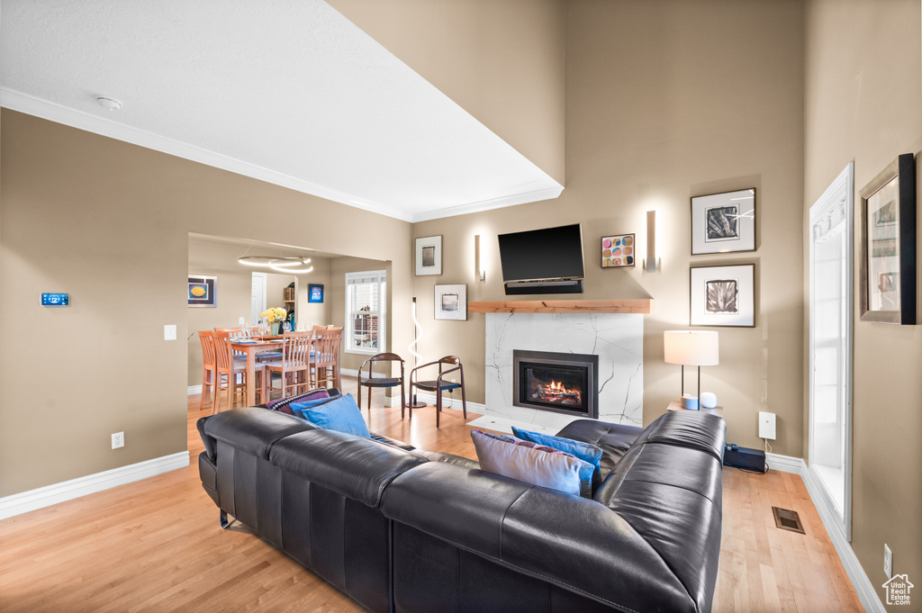 Living area with light wood-type flooring, ornamental molding, and a fireplace