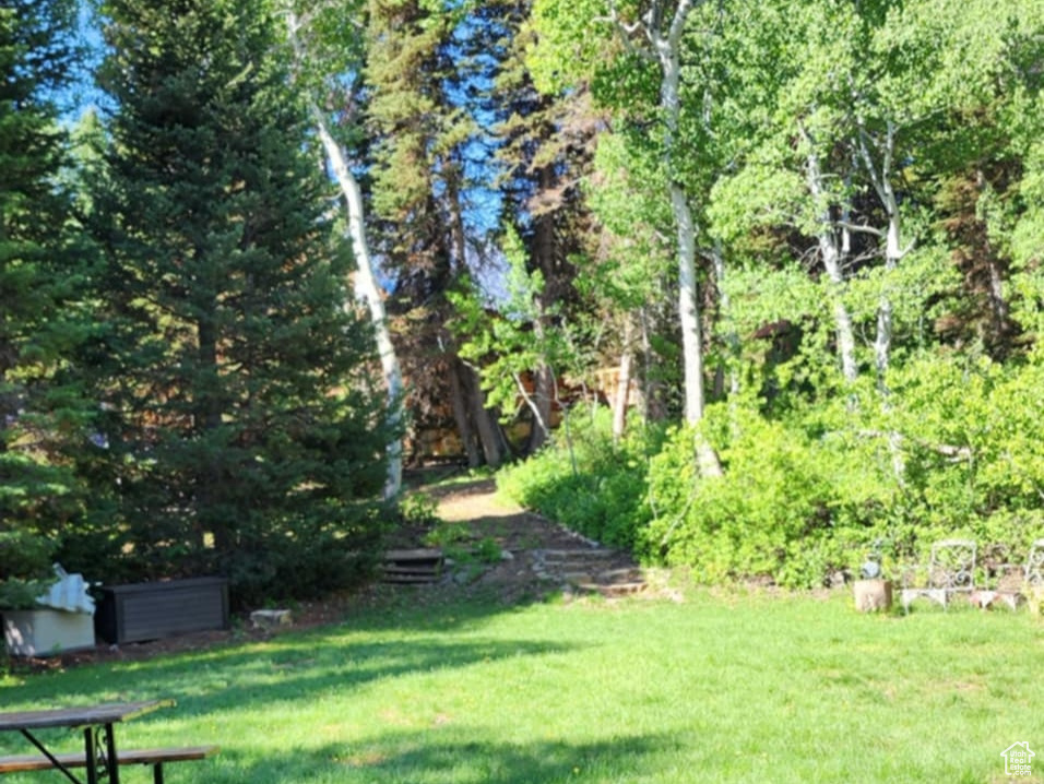 View of grassy yard