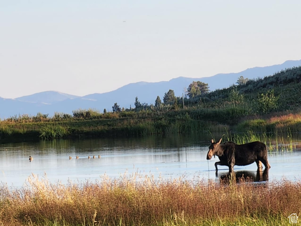 Water view featuring a mountainous background