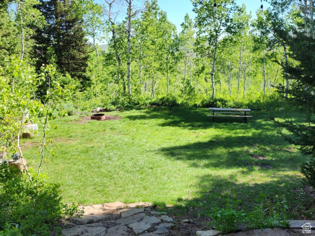 View of green lawn