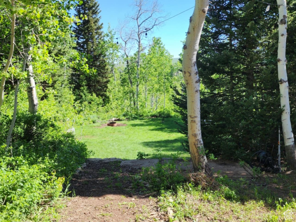 View of undeveloped land