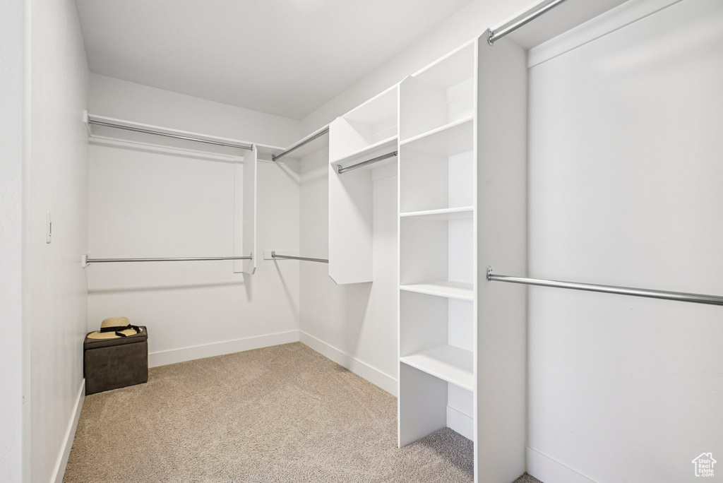 Walk in closet featuring carpet floors