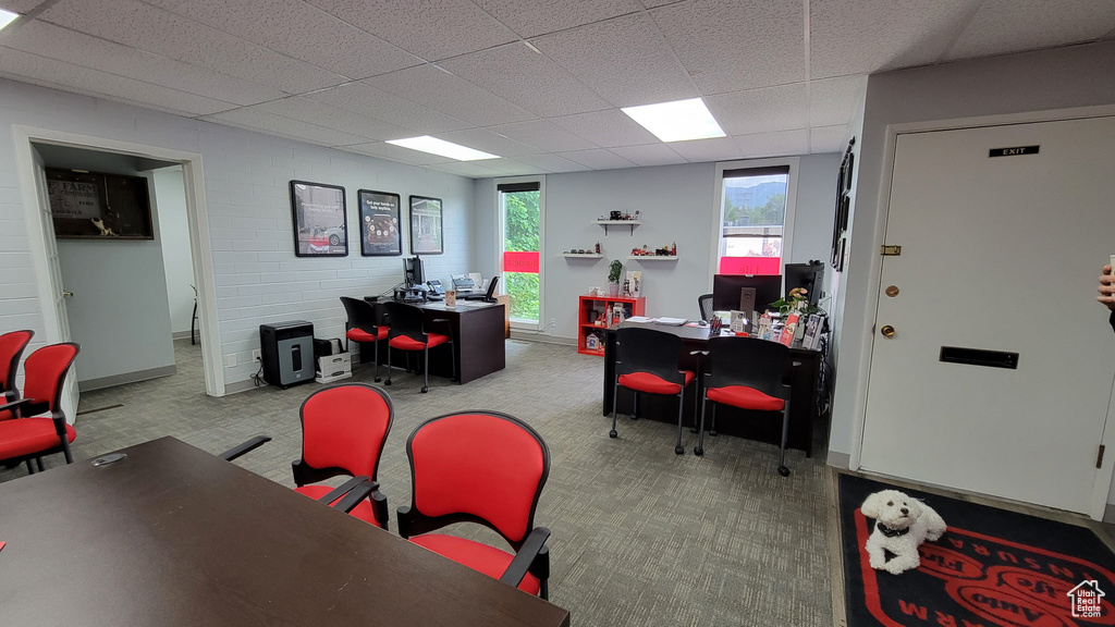 Office area with carpet flooring, a paneled ceiling, and baseboards