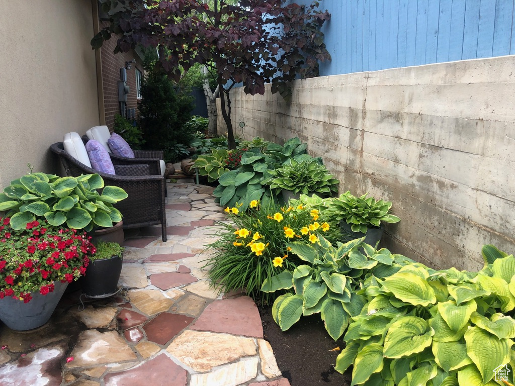 View of patio