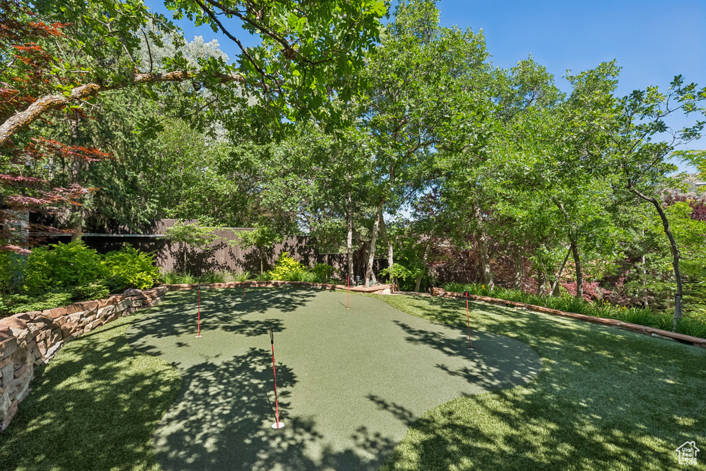 View of yard featuring a putting green