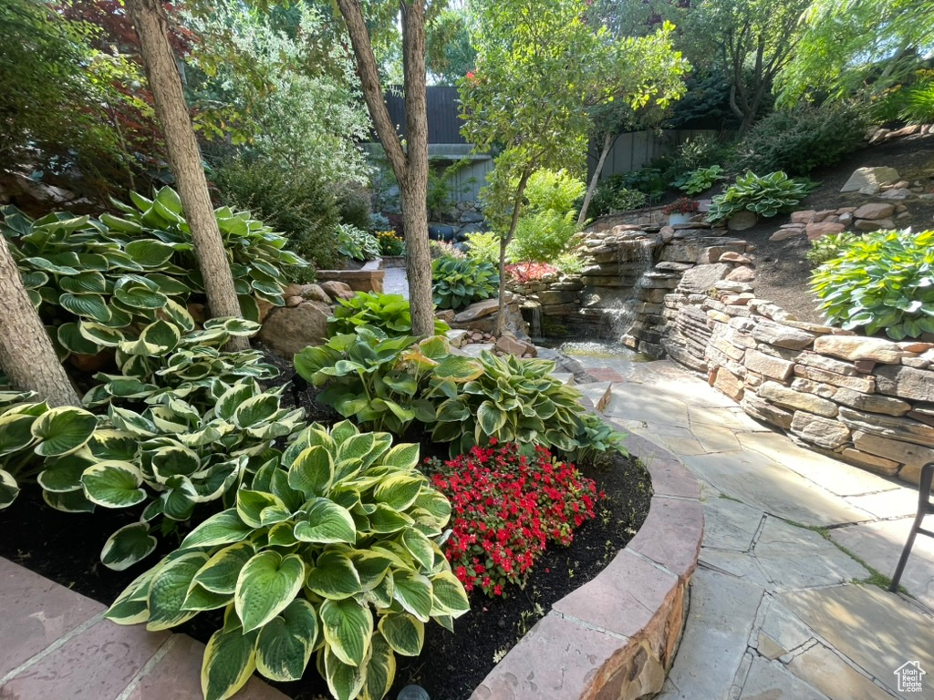 View of yard featuring a small pond