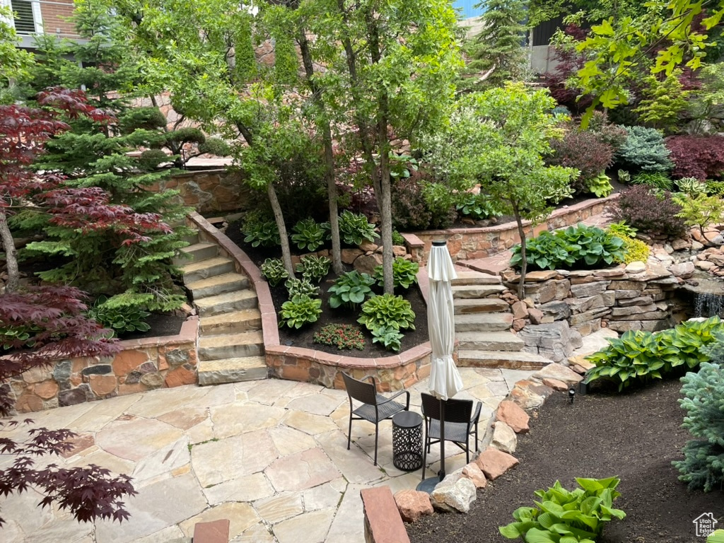 View of patio