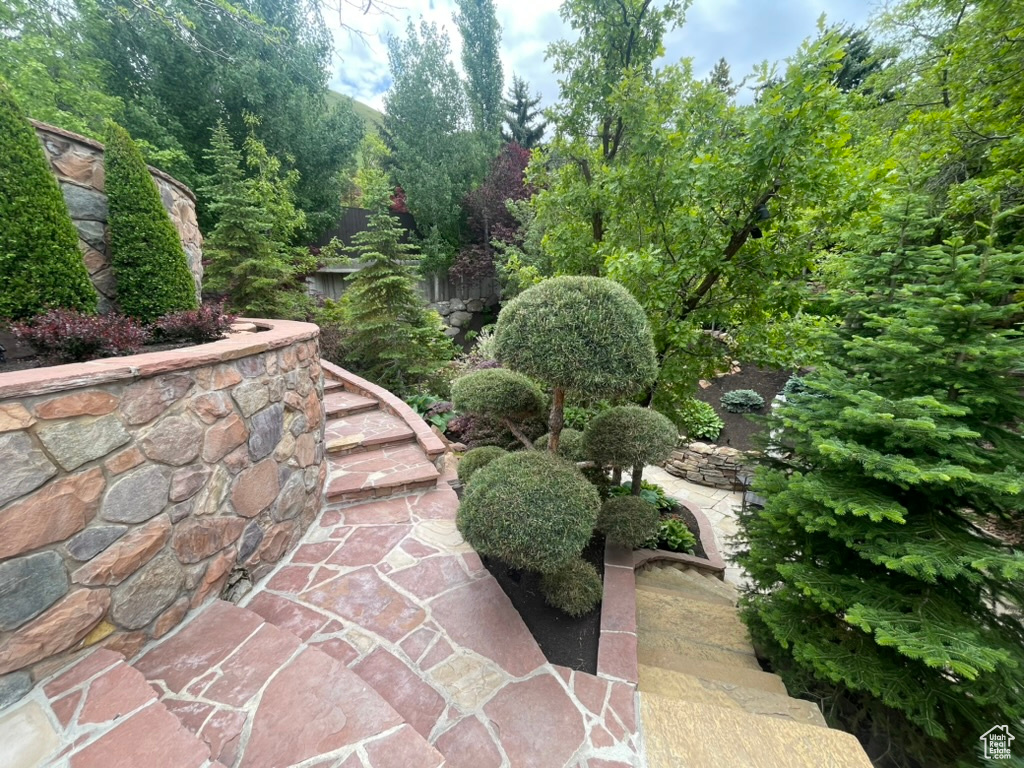 View of patio
