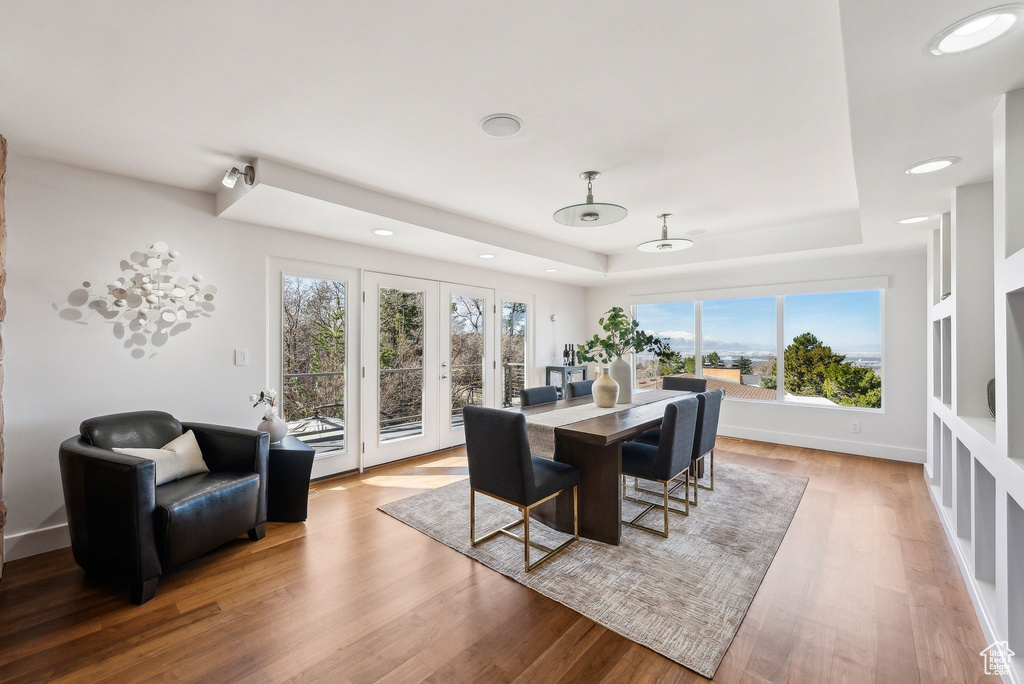 Dining area featuring a tray ceiling, healthy amount of natural light, light wood-style flooring, and recessed lighting