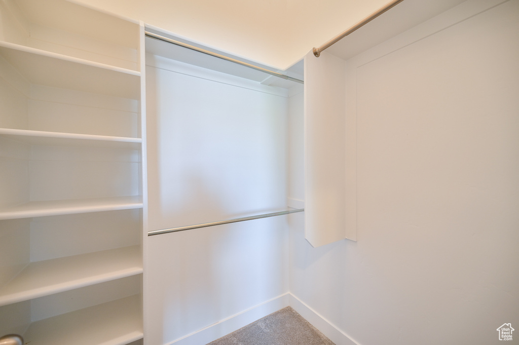 Spacious closet with carpet