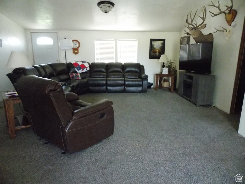 Living area featuring carpet floors