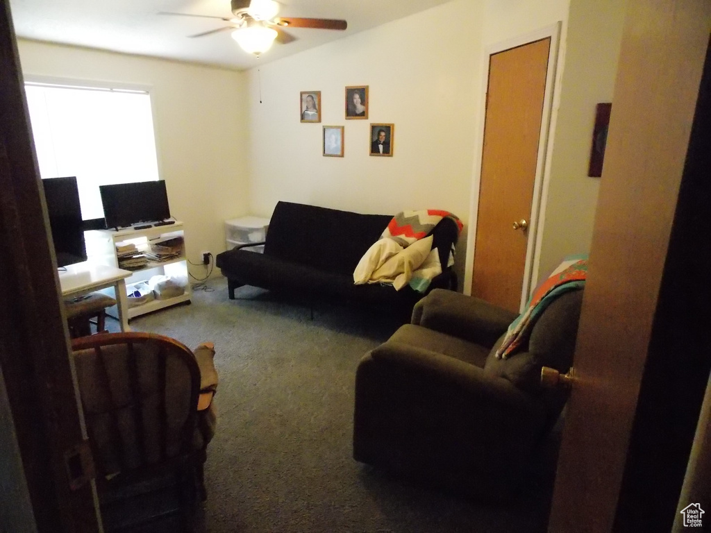 Photo #19