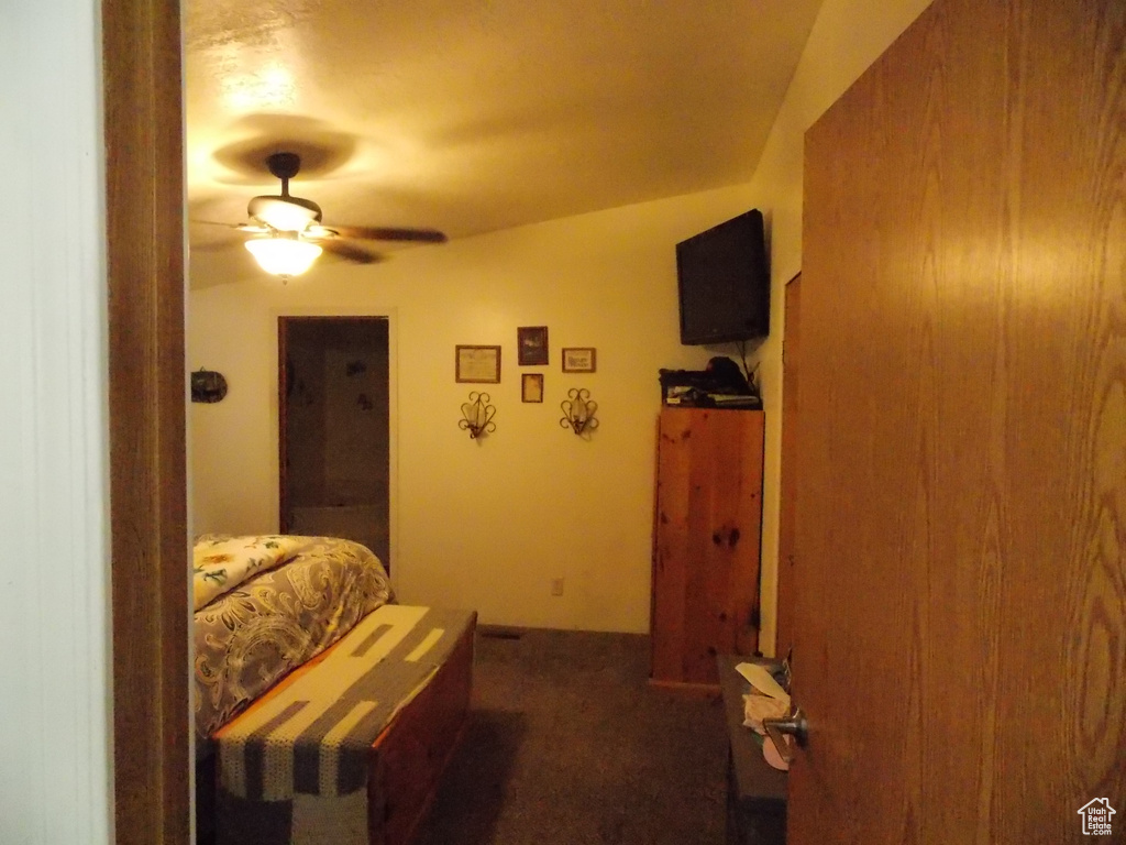 Photo #12