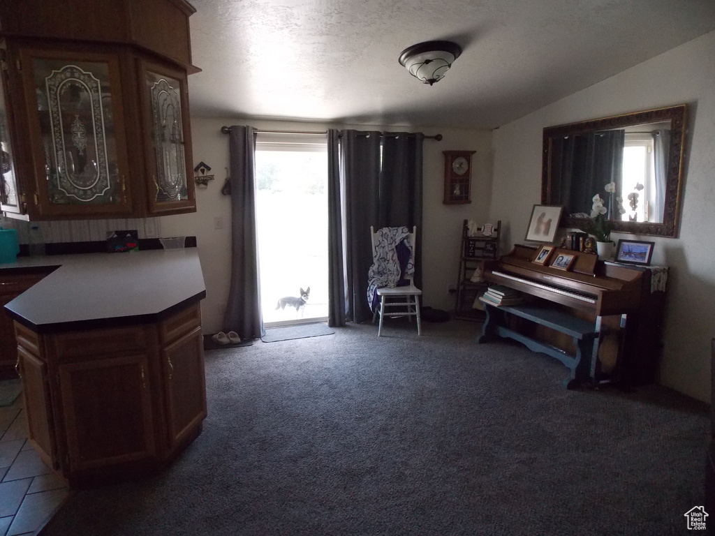 Sitting room with a textured ceiling, vaulted ceiling, and carpet flooring