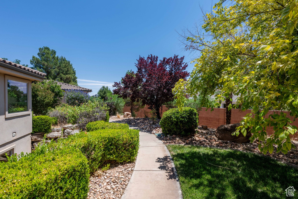 View of yard
