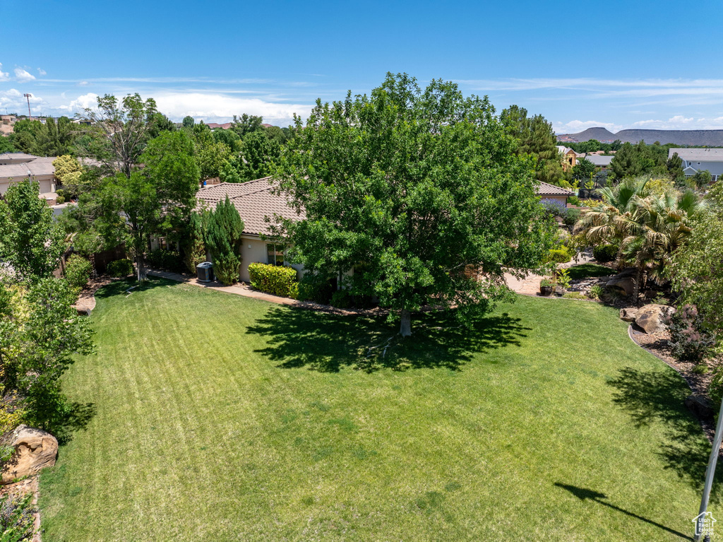 View of grassy yard