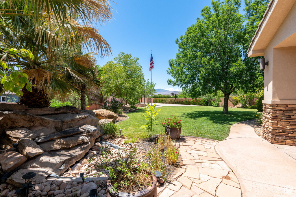 View of green lawn with a patio