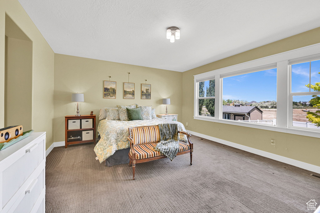 Carpeted bedroom with baseboards