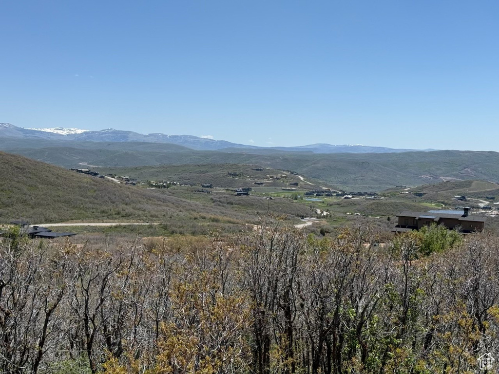 View of mountain background