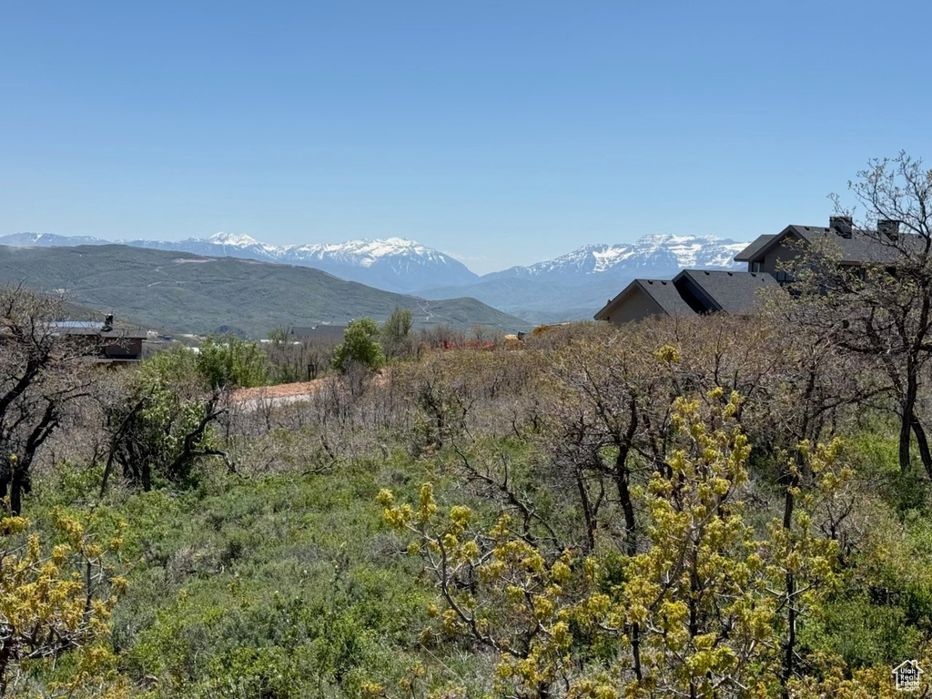 View of mountain backdrop