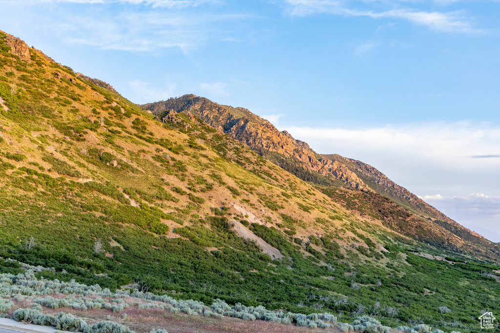 View of mountain backdrop
