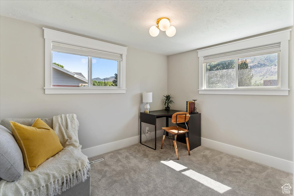 Living area featuring baseboards and carpet