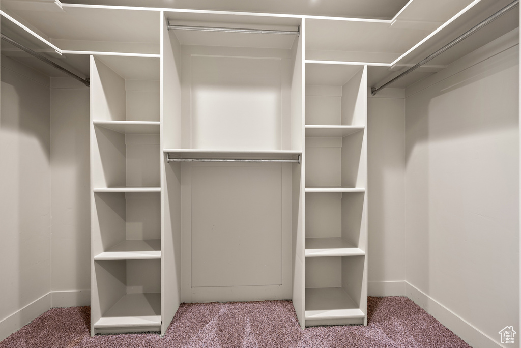 Walk in closet with carpet flooring