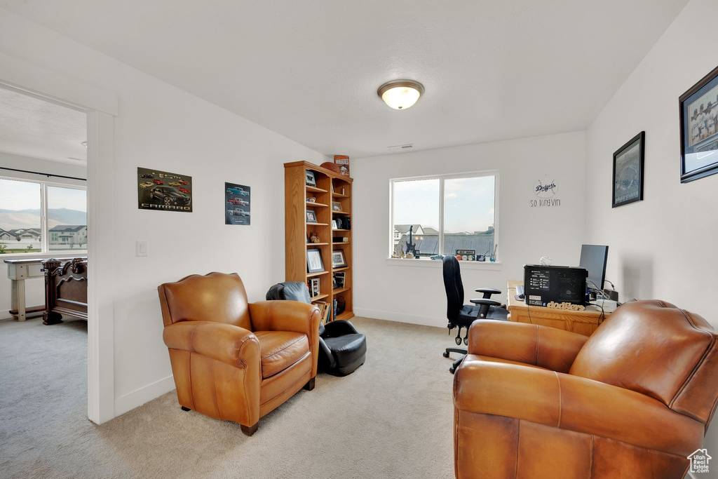 Office with light colored carpet and healthy amount of natural light