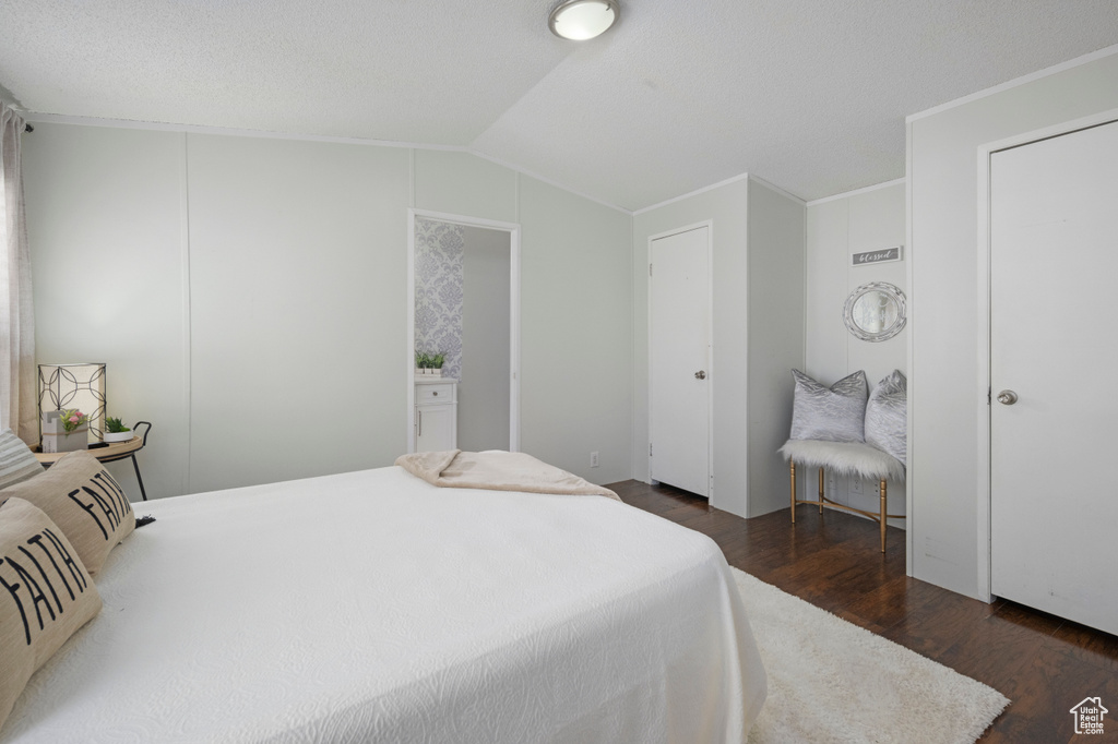 Bedroom featuring dark wood-type flooring and lofted ceiling