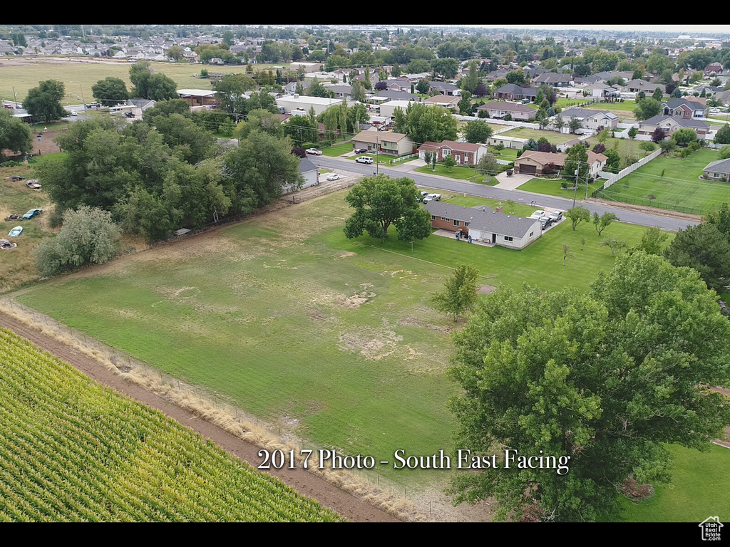 Bird\'s eye view