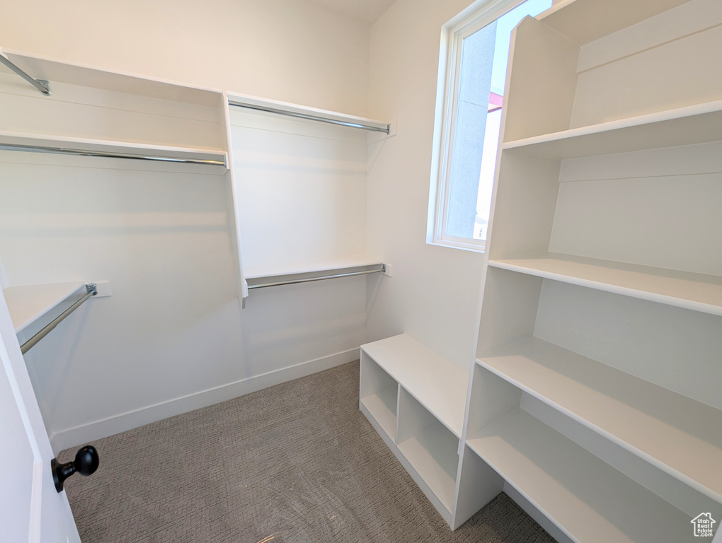 Spacious closet featuring carpet flooring