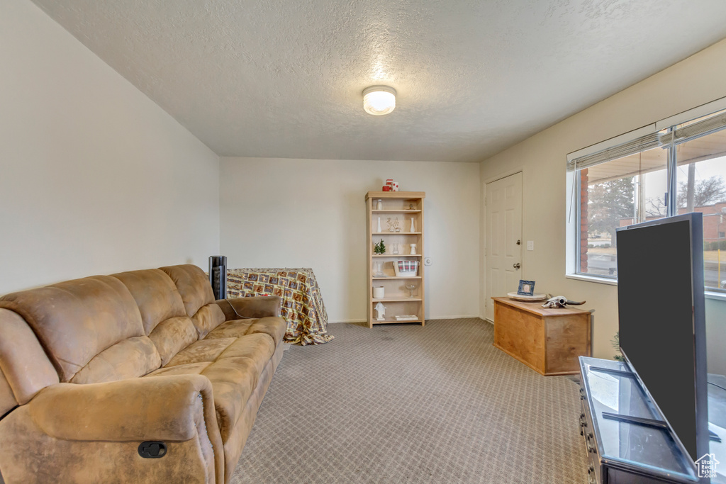 Living area featuring a textured ceiling and carpet