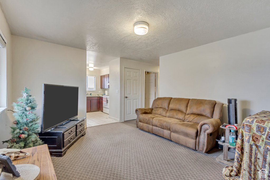 Living room with light colored carpet and a textured ceiling