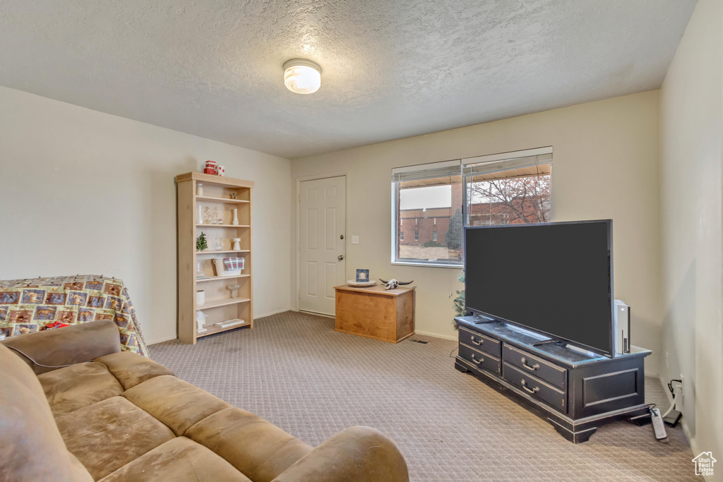 Carpeted living room featuring a textured ceiling and baseboards