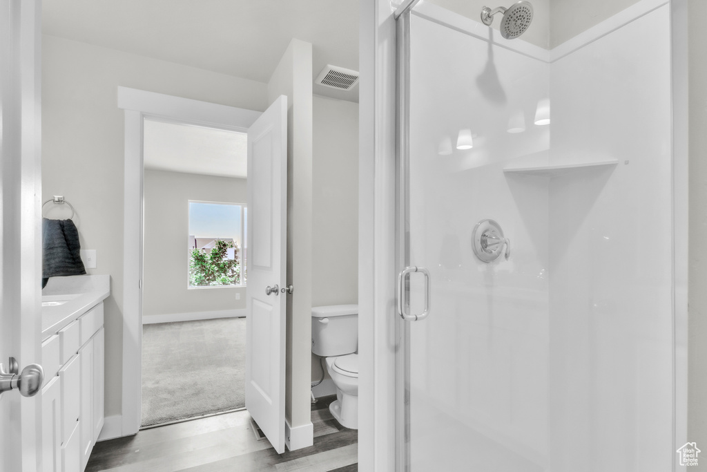 Bathroom featuring a shower stall, wood finished floors, and vanity