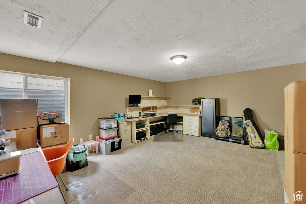 Office space featuring carpet flooring
