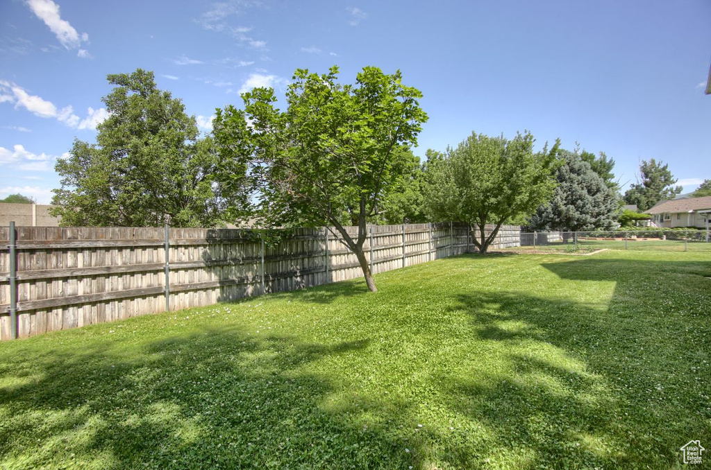 View of fenced backyard
